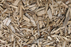 biomass boilers Ratsloe